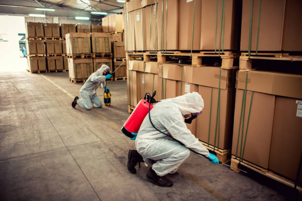 Best Pest Removal Services  in Hesston, KS