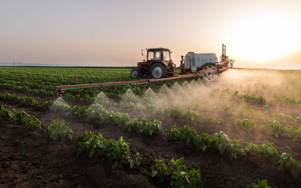 Best Best Pest Control Companies  in Hesston, KS