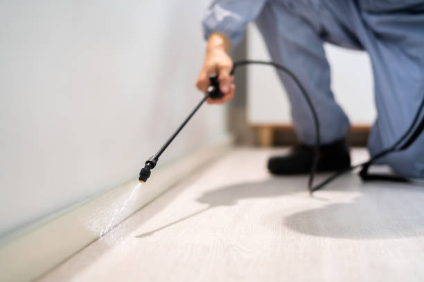 Best Mosquito Control Services  in Hesston, KS