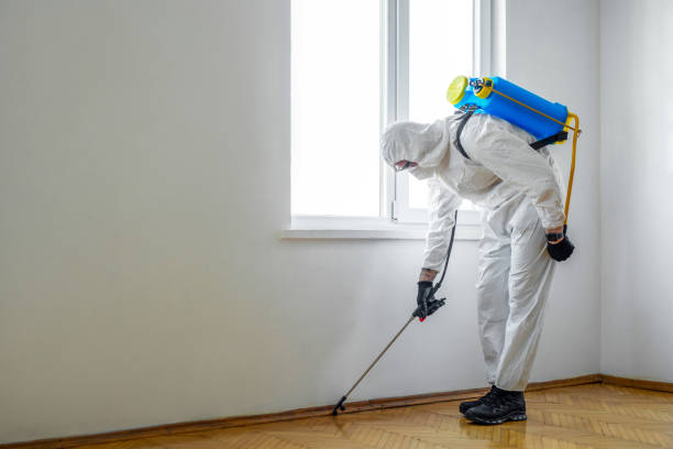 Best Local Pest Control Services  in Hesston, KS