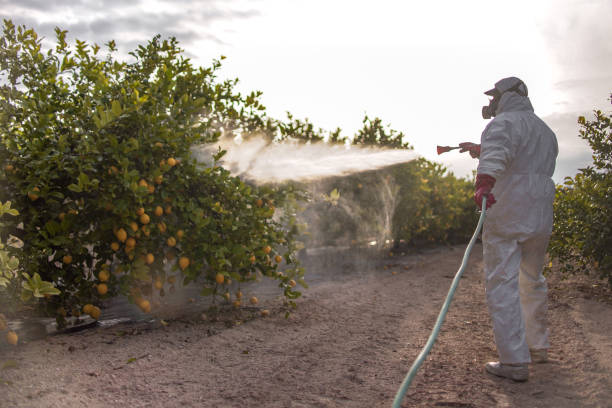 Best Pest Control Near Me  in Hesston, KS