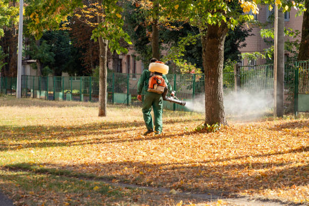 Trusted Hesston, KS Pest Control Experts