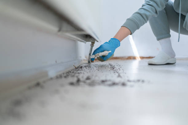 Pest Prevention Services in Hesston, KS